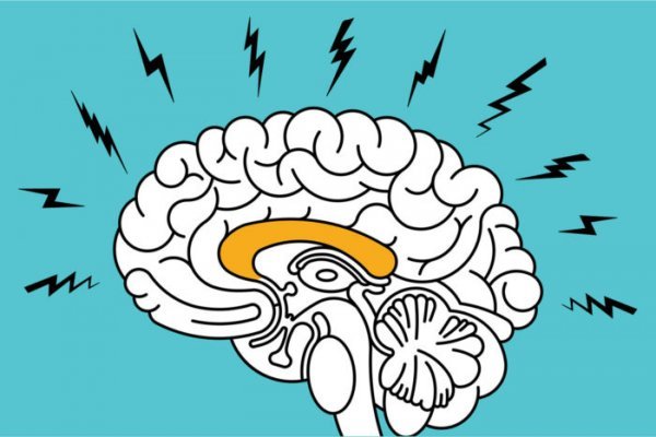 illustration symbolizing anxiety's impact on your brain