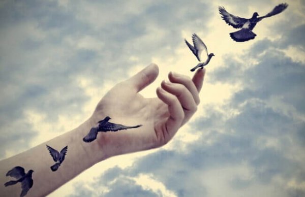 birds and hand