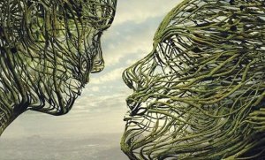 The Empathetic Brain: The Power of Human Connection