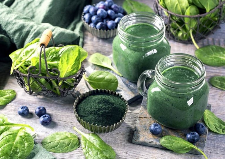 5 Benefits of Spirulina for Your Brain