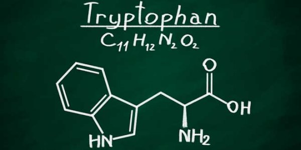 Tryptophan.