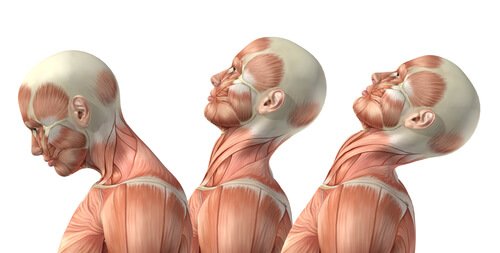 Take care of your neck: exercise