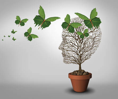 Emotional maturity: plant