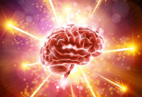 eternally youthful brain