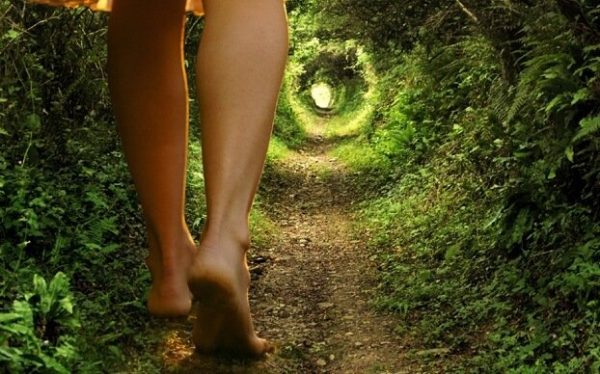 Walking a woodland path