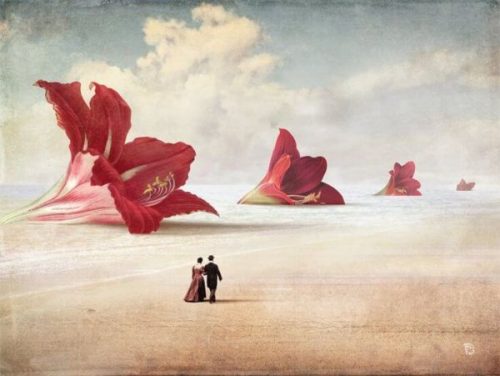 evolution of romantic love