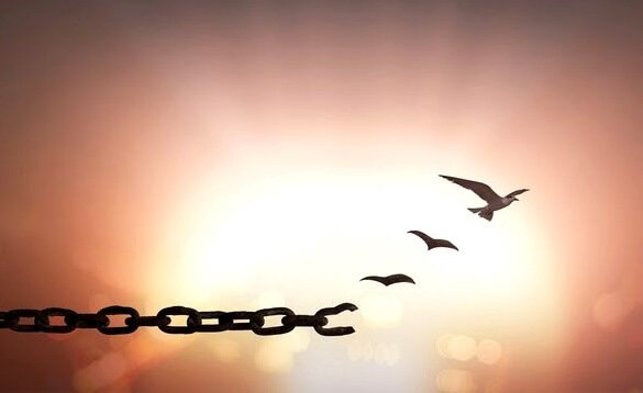 7 Amazing Phrases about Forgiveness