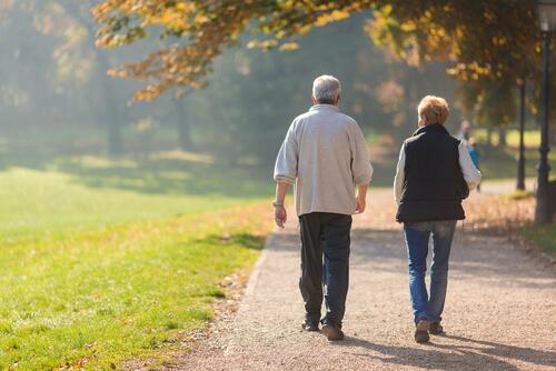 An elderly couple walking for fitness.
