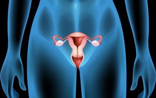 Ovarian Cysts: Symptoms, Causes, and Treatment