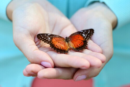 Hands cupping a butterfly.