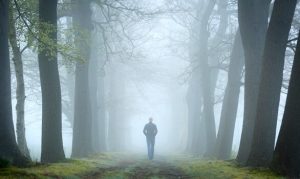 The Forest Test and its Place in Psychoanalysis