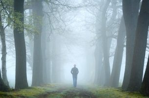 The forest test and psychoanalysis