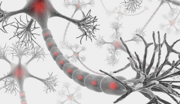 messengers or neurotransmitters