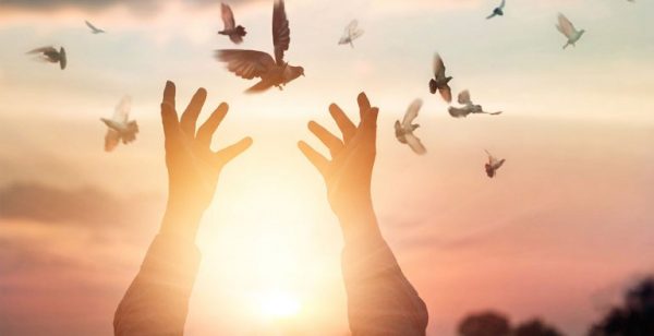 hands-opening-up-to-set-birds-free