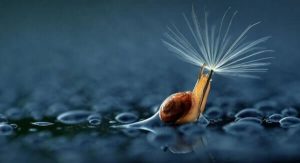 What Five Minutes of Silence Can Do For Your Brain