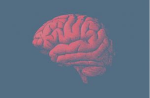 red aged brain