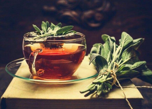 benefits of salvia in tea