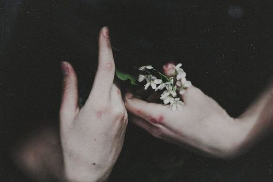 hands holding a flower