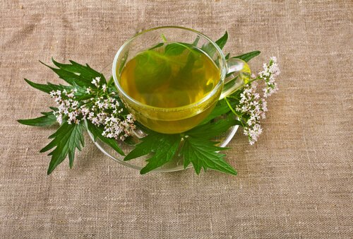 Valerian Root tea can aid sleep
