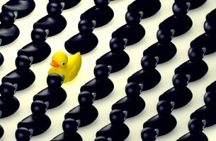 Tall poppy syndrome - standing out
