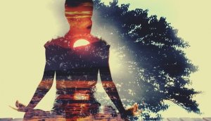 Wu Wei: The Art of Non-Action