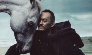 The Rational Rider and Emotional Horse: Finding Balance