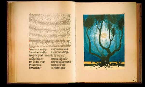Carl Jung's book.