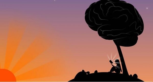 Woman reading under a tree.