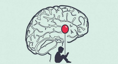 Amygdala.