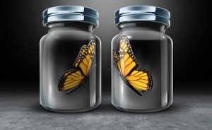 Asymmetrical Reciprocity, An Obstacle in Human Relationships