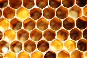 Trypophobia: Symptoms, Causes, and Treatments