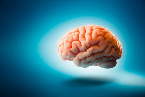 Picture of a brain in a blue background.