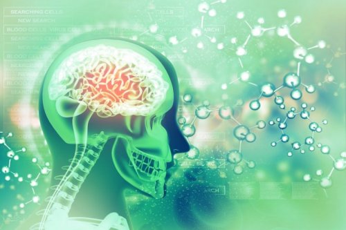 Chemical reactions in the brain.