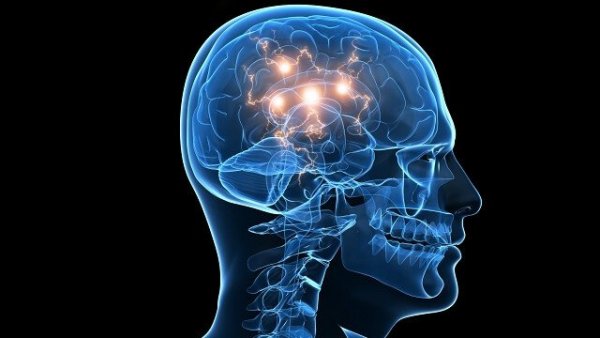 brain lit up because of an attraction to risk