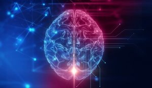 The Orbitofrontal Cortex: The Base of Our Social Behavior