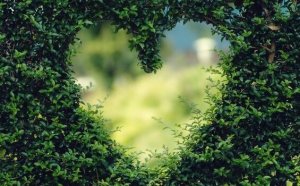 The 9 Best Virginia Satir Quotes to Reflect On