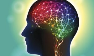 Anandamide: A Neurotransmitter That Influences Happiness