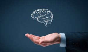 The 6 Rules of Simple Intelligence