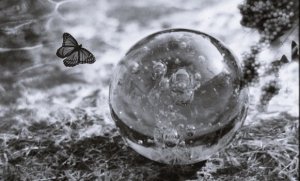 Emotional Fragility: The Keys to Understanding and Strengthening Your Ego