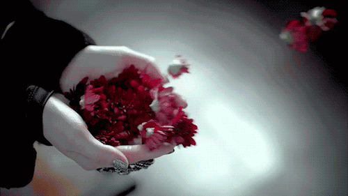 Flowers floating out of someone's hands.