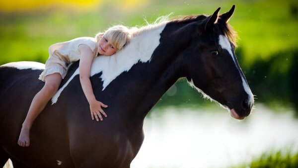 terapi med heste, hvor lille pige krammer hest