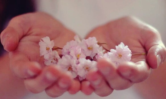 Hands holding flowers.