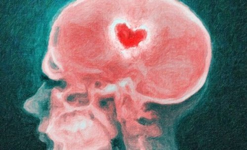 Your Brain During a Breakup: The Science of a Broken Heart