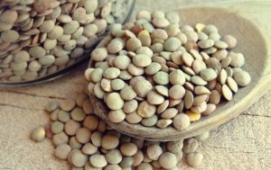 Folic Acid for a Healthy Brain