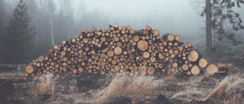 Stacked logs and trypophobia.