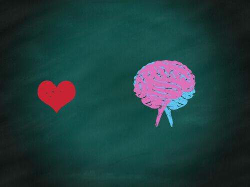 Illustration of a mind and a heart.
