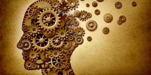 A brain filled with gears.