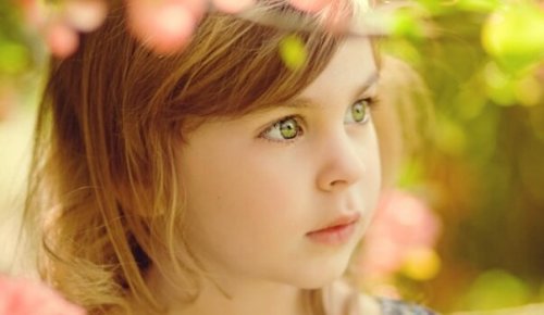 The Trophy Child: The Effects of Favoritism Among Siblings