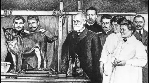 Pavlov's experiment with dogs.