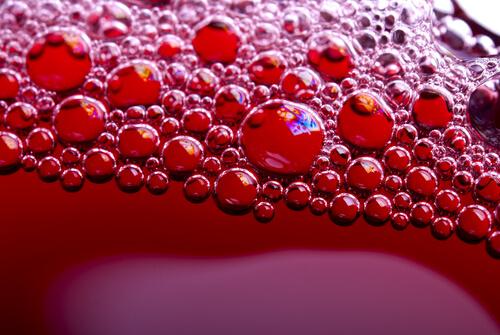 Soda bubbles and trypophobia.